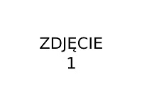 zdjecie1